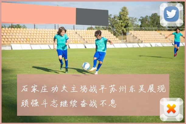 石家庄功夫主场战平苏州东吴展现顽强斗志继续奋战不息