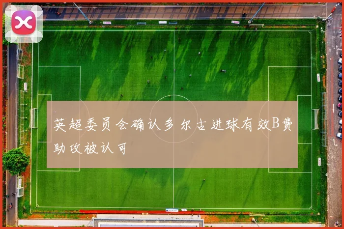 英超委员会确认多尔古进球有效B费助攻被认可